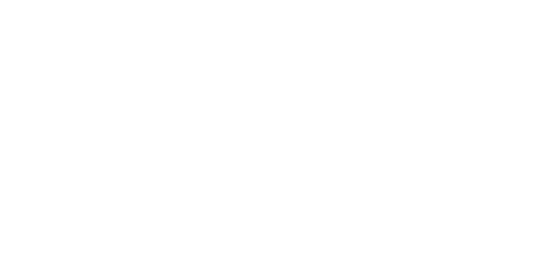 Main Logo (Website) (White)