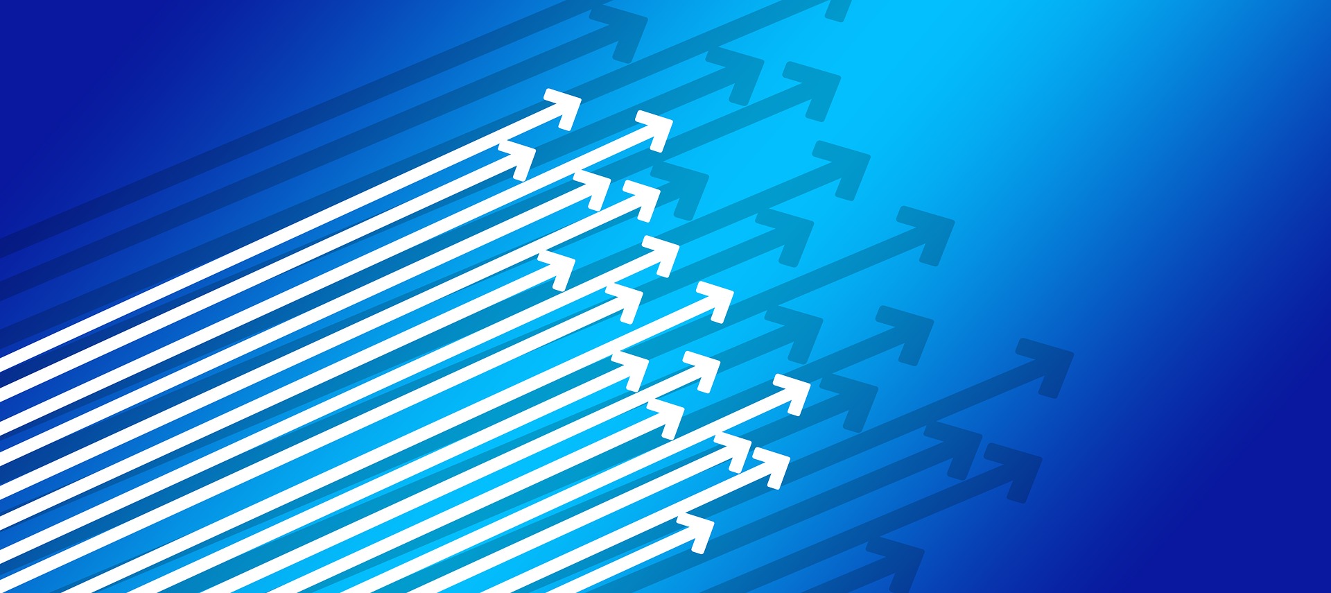 Lead Program Partner Background