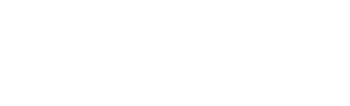 Nephele Consulting Logo